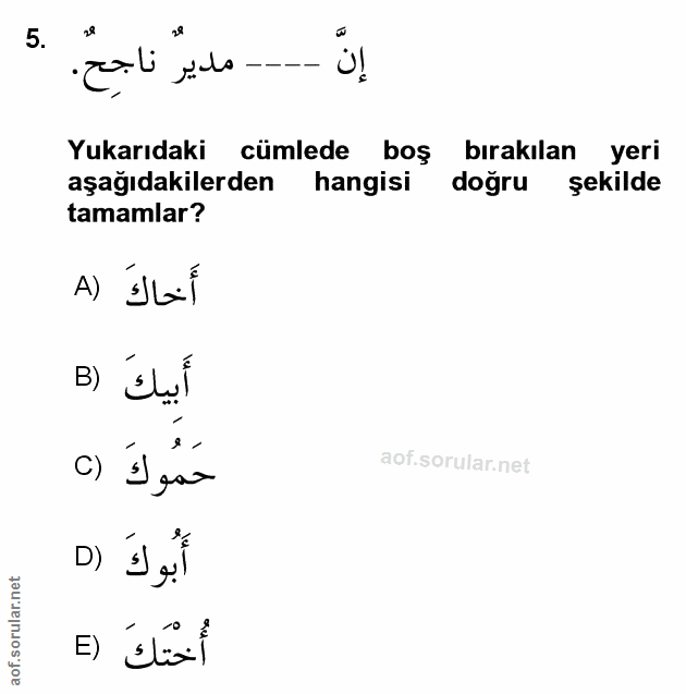 Soru 5