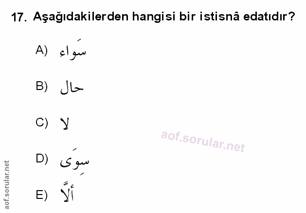 Soru 17