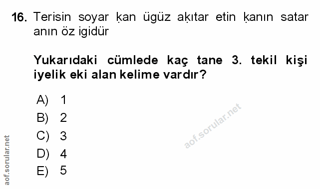 Soru 16