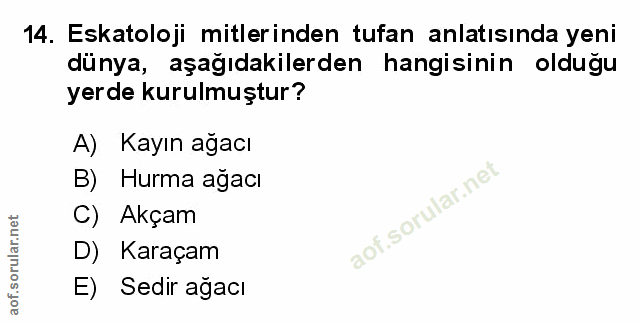 Soru 14