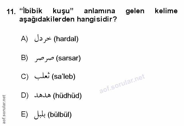 Soru 11