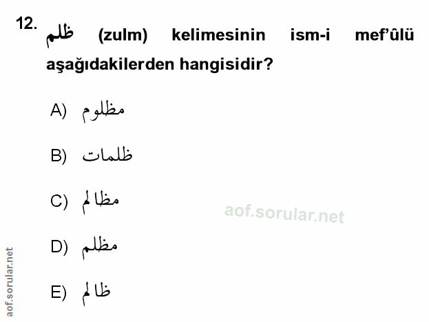 Soru 12