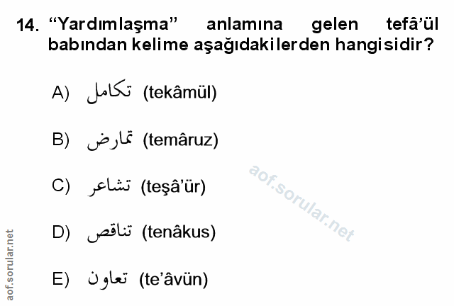 Soru 14