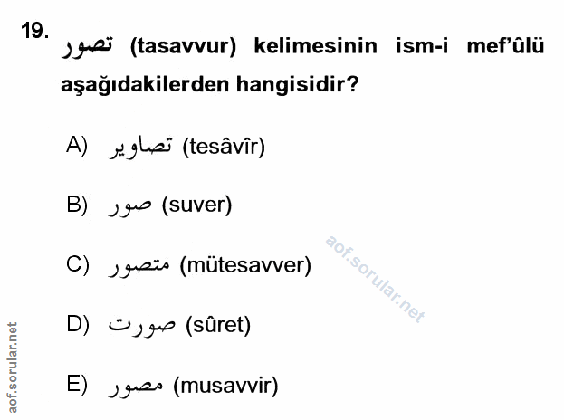 Soru 19