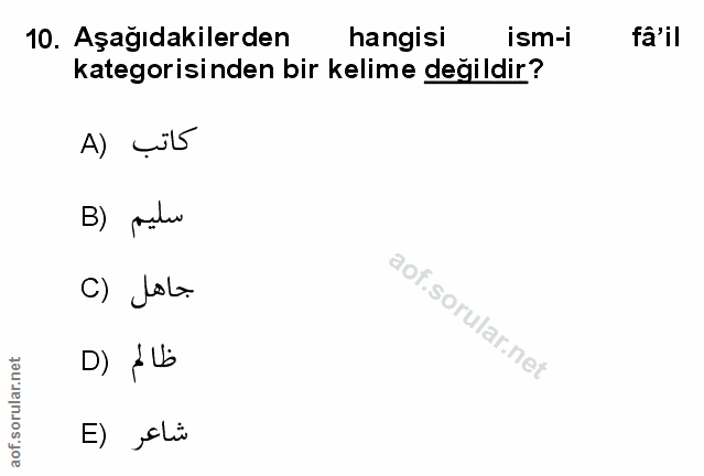 Soru 10