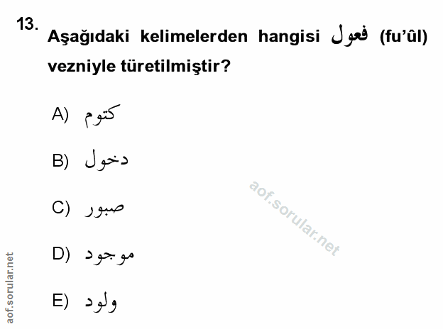 Soru 13