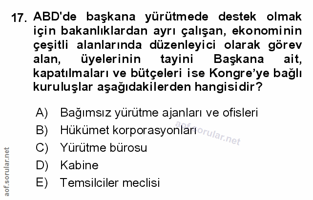 Soru 17
