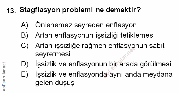 Soru 13