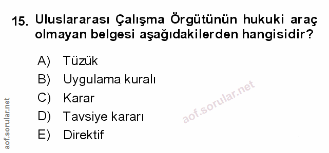 Soru 15