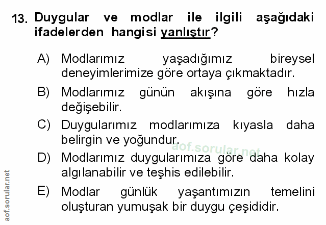 Soru 13