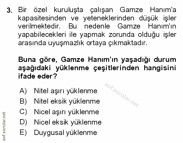 Soru 3