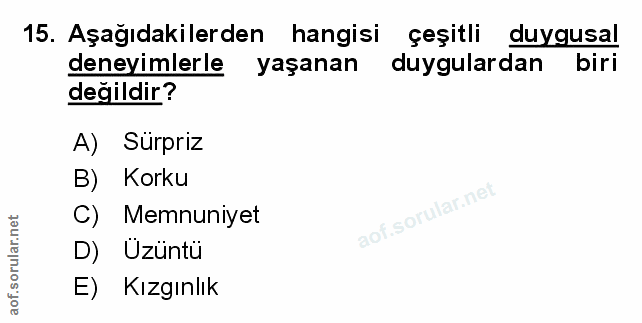 Soru 15