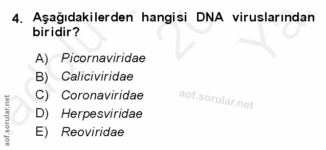 Soru 4