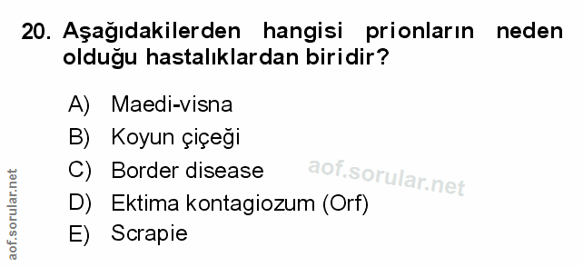 Soru 20