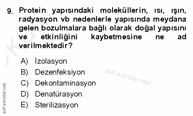 Soru 9