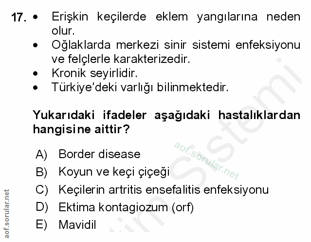 Soru 17