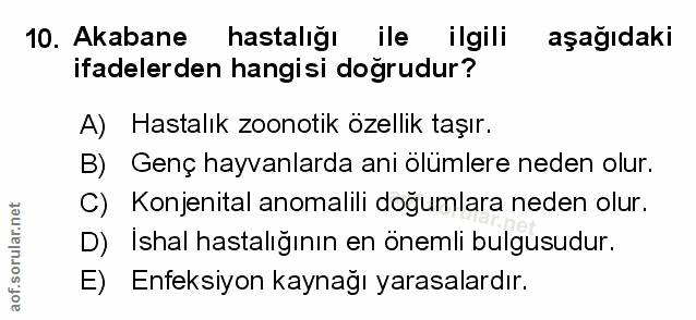 Soru 10