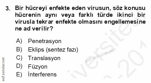Soru 3