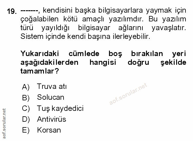 Soru 19