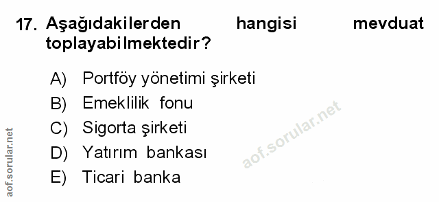 Soru 17