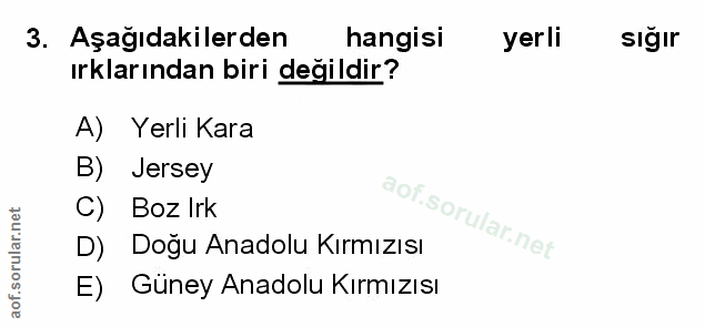 Soru 3
