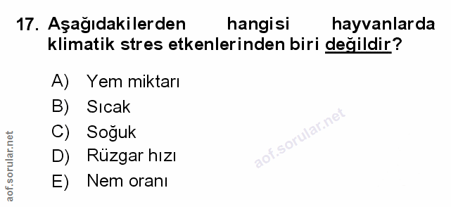 Soru 17