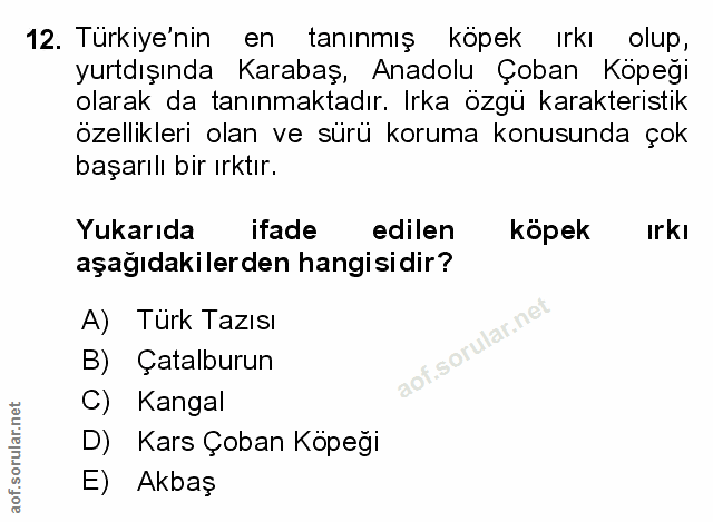 Soru 12