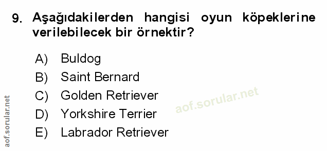 Soru 9