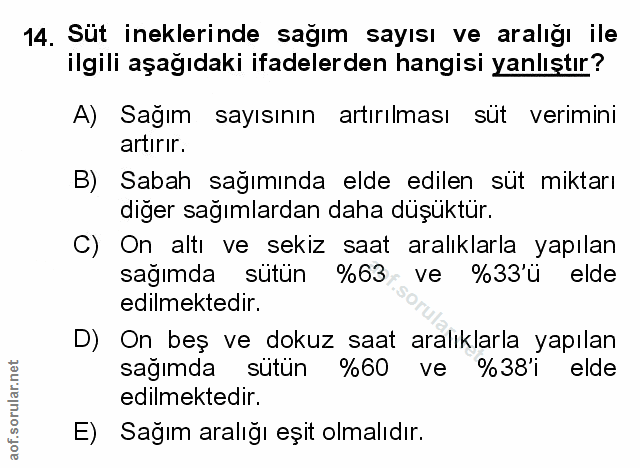 Soru 14