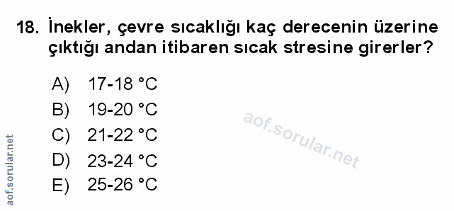 Soru 18