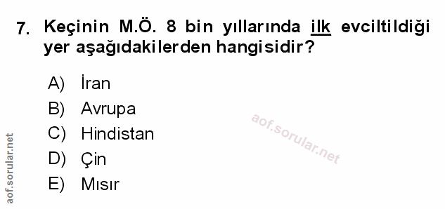 Soru 7