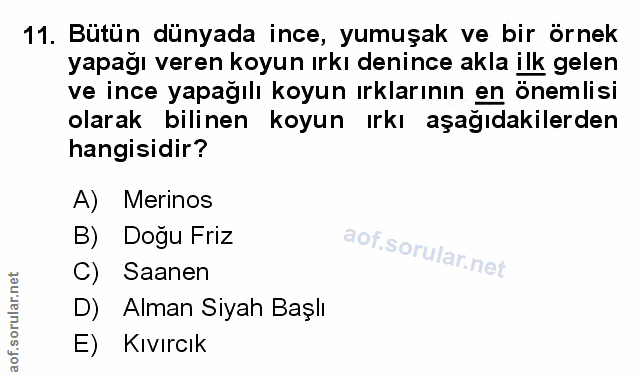 Soru 11