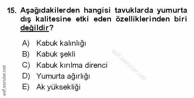Soru 15