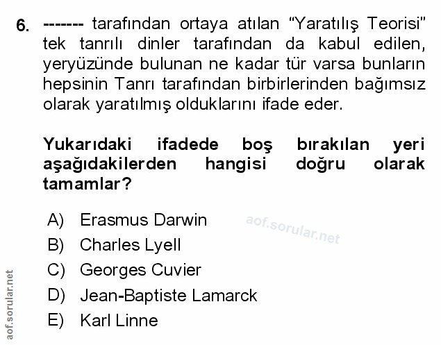 Soru 6
