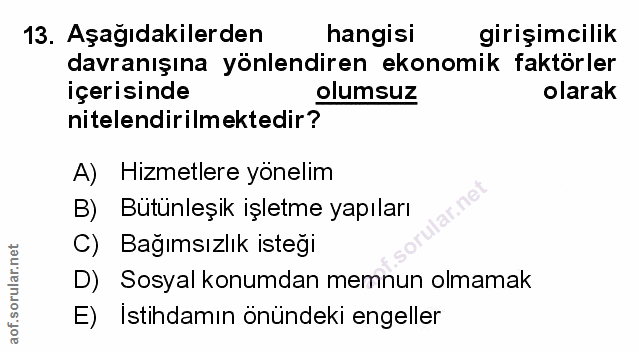 Soru 13