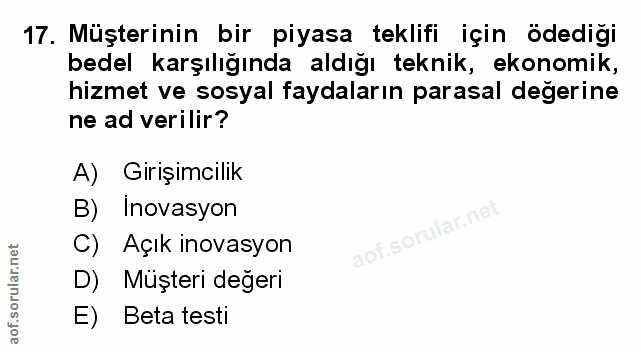 Soru 17