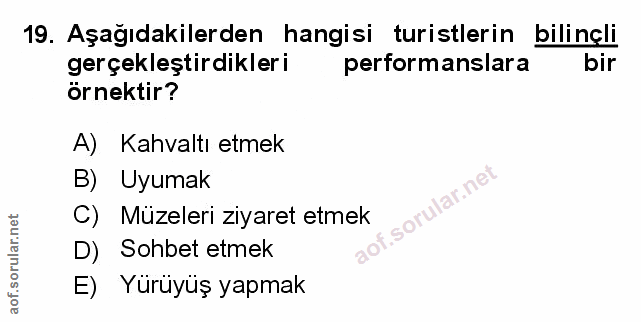 Soru 19