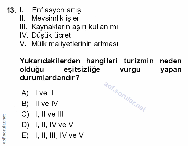 Soru 13