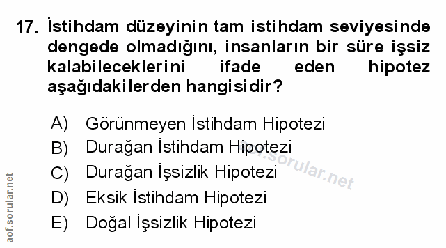 Soru 17