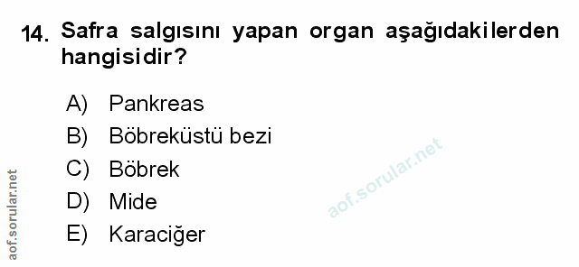Soru 14