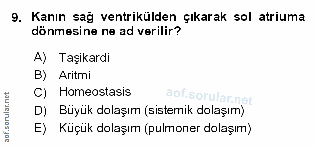Soru 9