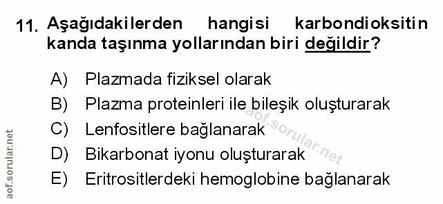 Soru 11