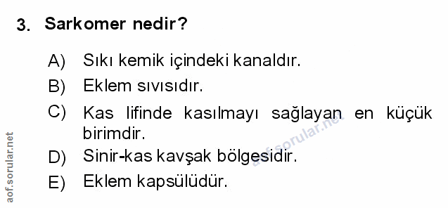 Soru 3