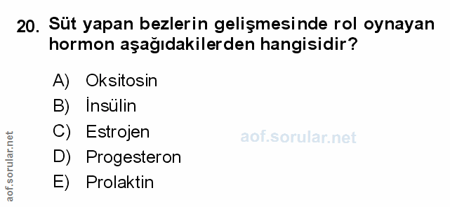 Soru 20
