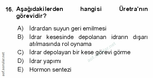 Soru 16