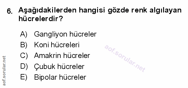 Soru 6