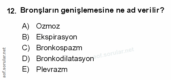 Soru 12