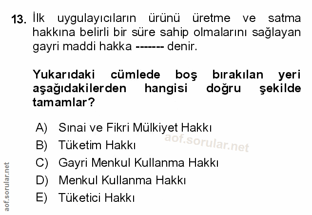 Soru 13