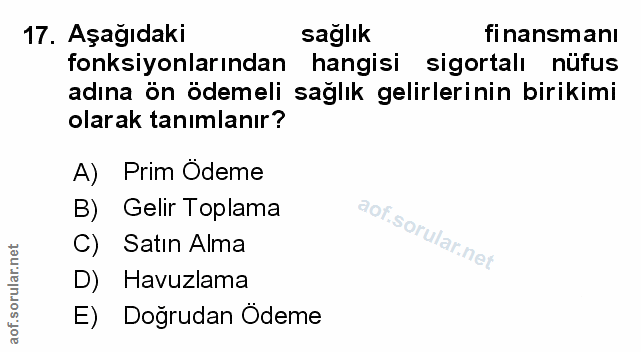 Soru 17