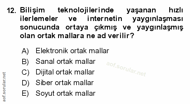 Soru 12